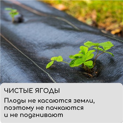 Агроткань застилочная, с разметкой, 5 × 1,1 м, плотность 100 г/м², полипропилен, Greengo, Эконом 50%