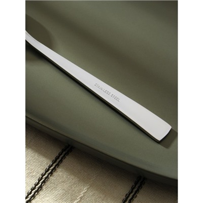 Ложка столовая из нержавеющей стали «Хоккайдо», h=20,5 см, цвет серебряный