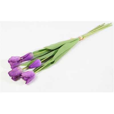 Тюльпан с латексным покрытием фиолет (12 букетов по 5 шт)