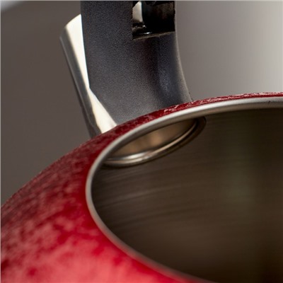 Чайник со свистком из нержавеющей стали Доляна Snow, 3 л, индукция, цвет красный