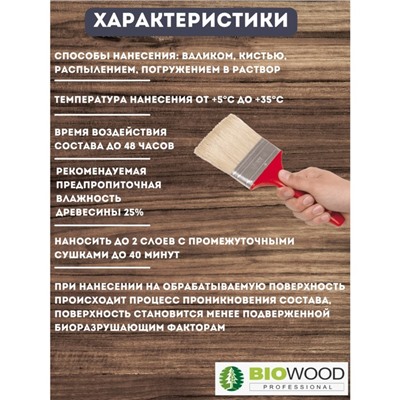 Антисептик против грибка и плесени BIOWOOD GP концентрат 1:1, 10л