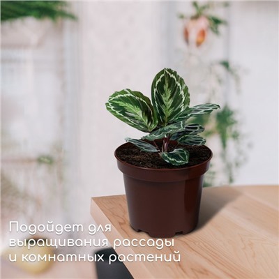 Горшок для рассады, 3 л, d = 19 см, h = 15 см, коричневый, Greengo