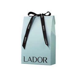 Подарочный пакет La'dor SMALL GIFT PACKAGE BLUE WITH RIBBON X 2 ROLLS