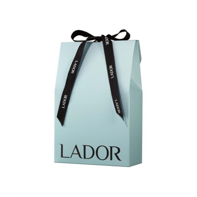 Подарочный пакет La'dor SMALL GIFT PACKAGE BLUE WITH RIBBON X 2 ROLLS