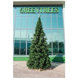 Ёлка искусственная Green trees «Клеопатра», премиум, ствольная, 3.5 м
