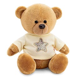 Мягкая игрушка «Медведь Топтыжкин» звезда, цвет коричневый 25 см