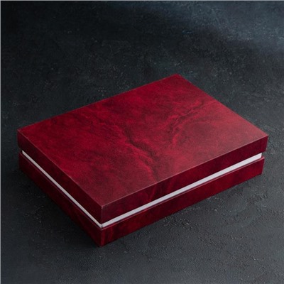 Набор столовый «Уралочка», 12 предметов, толщина 2 мм, декорированная коробка, цвет серебряный