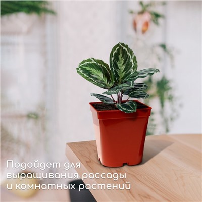 Горшок для рассады, 3 л, d = 15,5 см, h = 16,5 см, терракот, Greengo