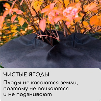 Круг приствольный, d = 0,4 м, плотность 60 г/м², спанбонд с УФ-стабилизатором, набор 5 шт., чёрный, Greengo, Эконом 20%