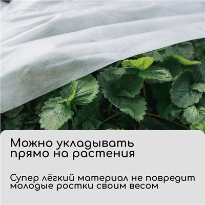 Материал укрывной, 5 × 1.6 м, плотность 17 г/м², спанбонд с УФ-стабилизатором, белый, «Агротекс»