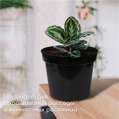 Горшок для рассады, 7.5 л, d = 26 см, h = 26 см, чёрный, Greengo