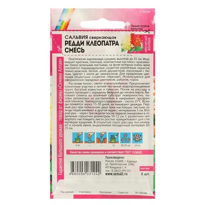 Семена цветов Сальвия "Редди Клеопатра", сверкающая, Сем. Алт, ц/п, 5 шт
