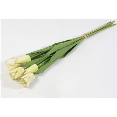 Тюльпан с латексным покрытием белый (12 букетов по 5 шт)