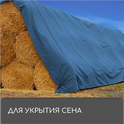 Тент защитный, 6 × 5 м, плотность 60 г/м², УФ, люверсы шаг 1 м, синий