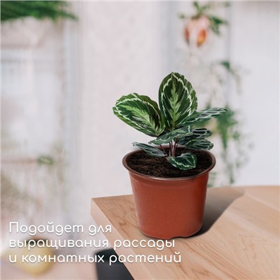 Горшок для рассады, 1,3 л, d = 14 см, h = 12 см, терракот, Greengo