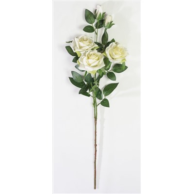 Ветка розы "Ламбада" 3 цветка 3 бутона