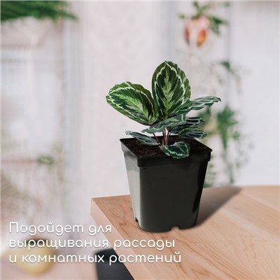 Горшок для рассады, 3 л, d = 15 см, h = 15 см, чёрный, Greengo