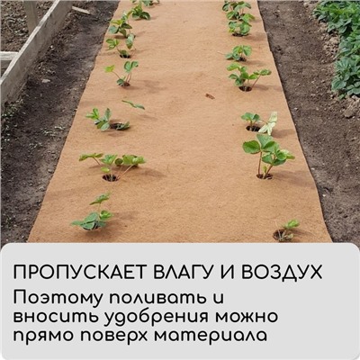 Кокосовое полотно для мульчирования, 6 × 0,75 м, «Мульчаграм»