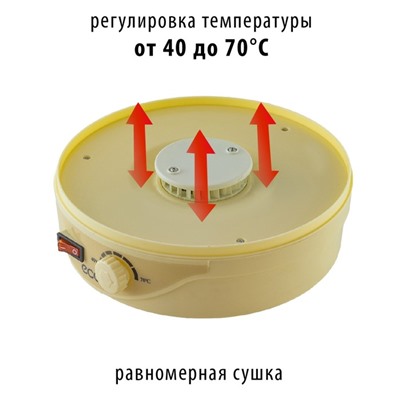 Сушилка для овощей и фруктов ECO-3011FD, 245 Вт, 5 ярусов, цвет ванильный