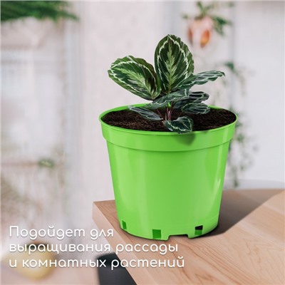 Горшок для рассады, 5 л, d = 22 см, h = 18 см, зелёный, Greengo