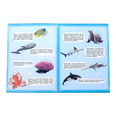 Наклейки «Моя первая энциклопедия. Подводный мир», формат А4, 8 стр. + плакат