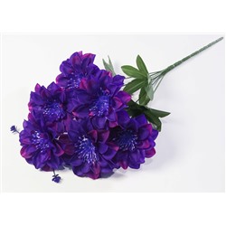 Георгин с фиолетовой тычинкой 6 цветков