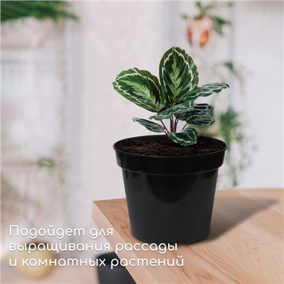 Горшок для рассады, 5 л, d = 22 см, h = 18 см, чёрный, Greengo