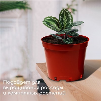 Горшок для рассады, 10 л, d = 29 см, h = 22,5 см, терракот, Greengo