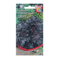 Семена цветов Гейхера "Пурпурный дворец", 300 шт