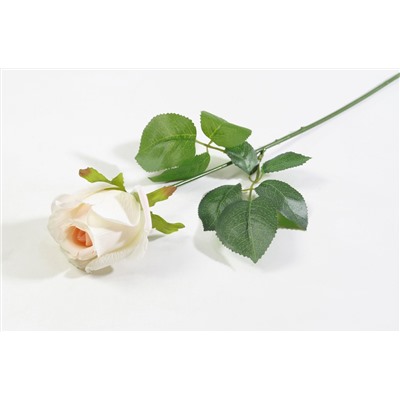 Роза с латексным покрытием "Ла Перла"