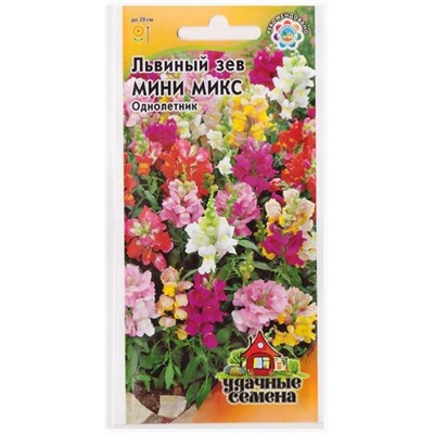 Львиный зев Мини Микс (Код: 8484)