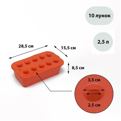Ящик для выращивания зелёного лука, 29 × 16 × 8,5 см, 2,5 л, 10 лунок, оранжевый, Greengo