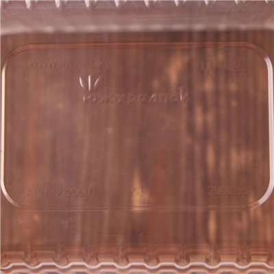 Контейнер одноразовый «Южуралпак», КР-179, 2000 гр, 17,9×13,2×13 см, цвет прозрачный