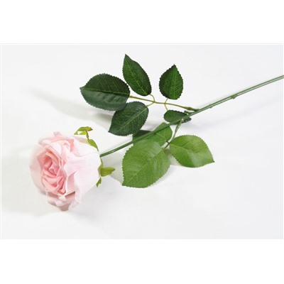 Роза с латексным покрытием крупная нежно-розовая