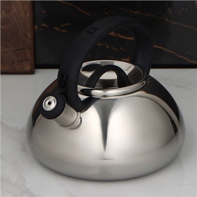 Чайник из нержавеющей стали со свистком Доляна «Квант», 2,8 л, фиксированная ручка, цвет чёрный