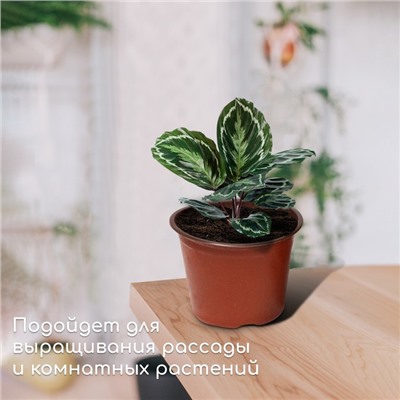 Горшок для рассады, 1 л, d = 13 см, h = 10,5 см, терракот, Greengo