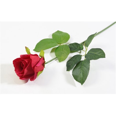 Роза с латексным покрытием красная
