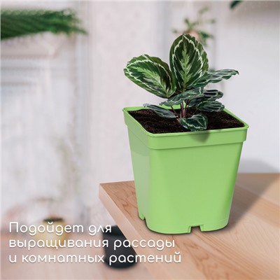 Горшок для рассады, 3 л, d = 16,5 см, h = 16 см, зелёный, Greengo