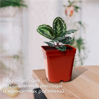 Горшок для рассады, 5 л, d = 18,5 см, h = 20 см, терракот, Greengo