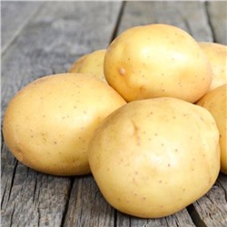 Семенной картофель "Невский", 5 кг +/- 10%, СуперЭлита