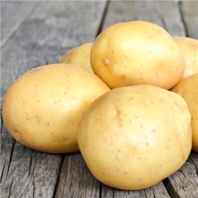 Семенной картофель "Невский", 25 кг +/- 10%, 2 репр.,