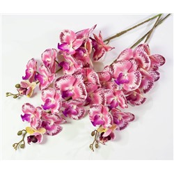 Ветка орхидеи 26