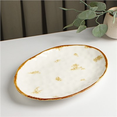 Блюдо керамическое Доляна «Космос», 30×21×2,5 см, цвет белый